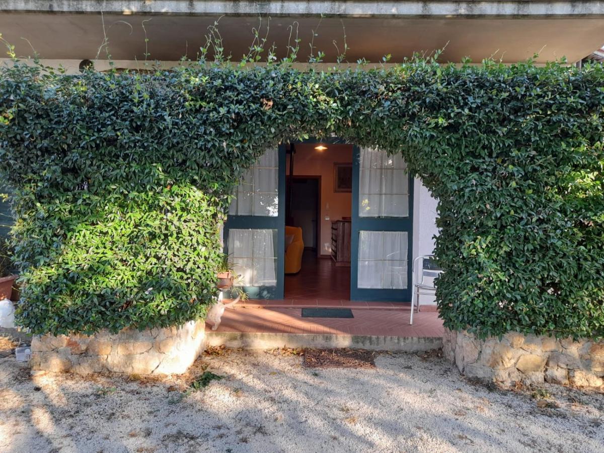 8380 Il Tiglio Verde Manciano Exterior foto